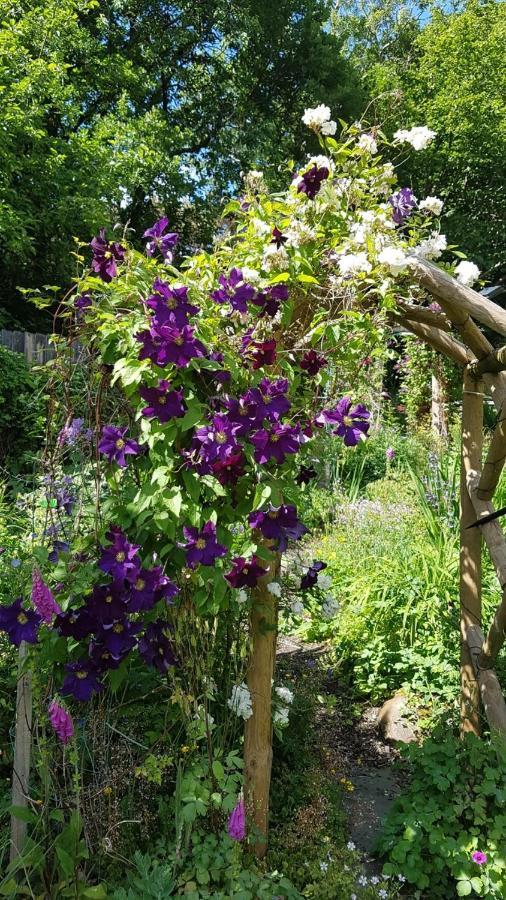 Yr Hen Farcdy Bed & Breakfast Talsarnau Dış mekan fotoğraf